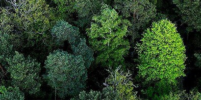 3M embed sustainability into every new product
